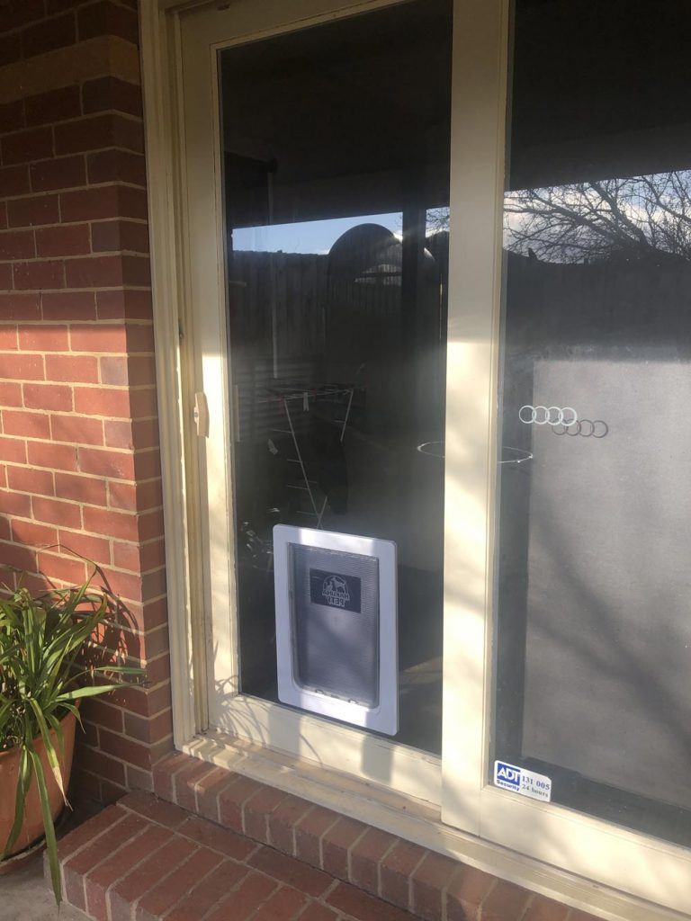 Pet Doors Domestic Glazing Melbourne